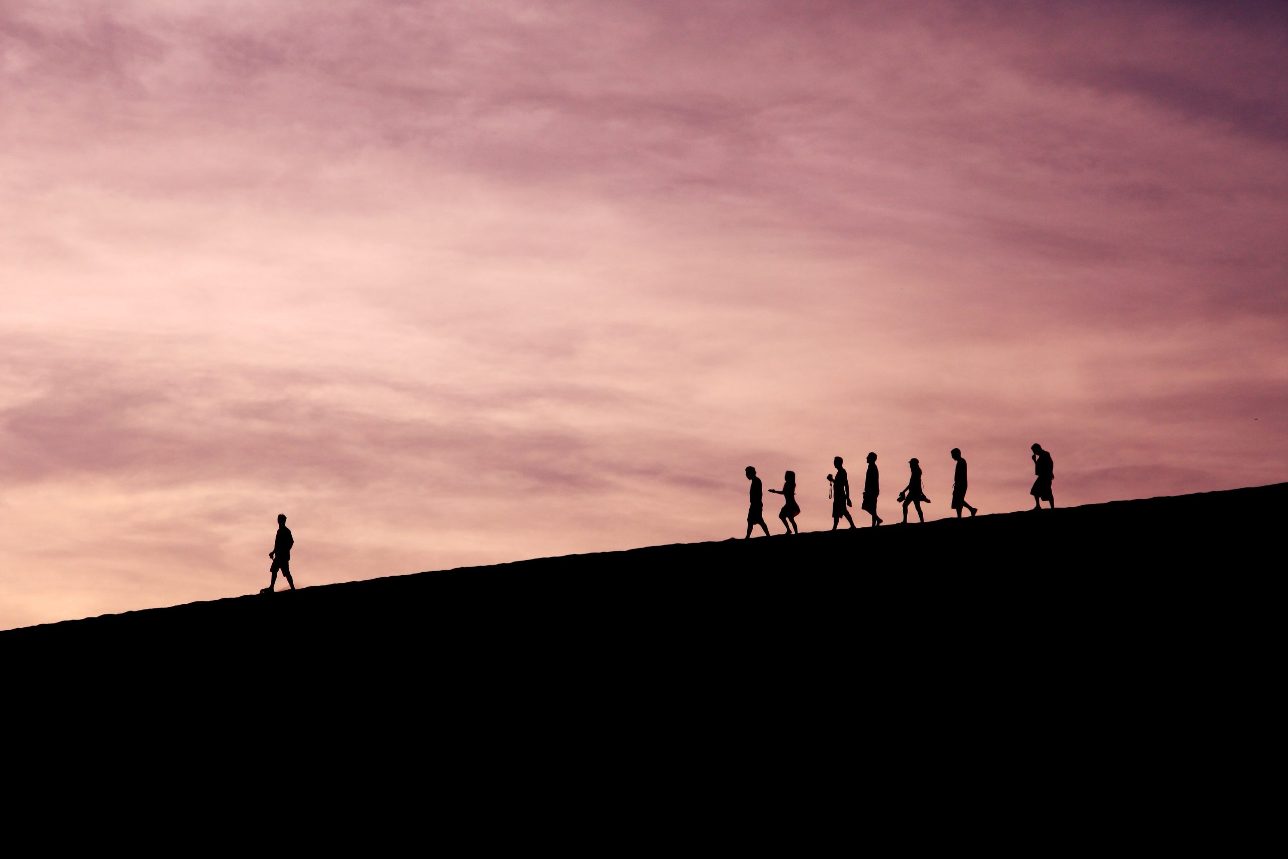 Barriers to Effective Team Building in a Startup